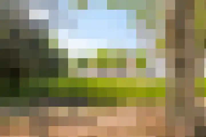 Penninghoeksingel 5 Middelburg thumbnail 34