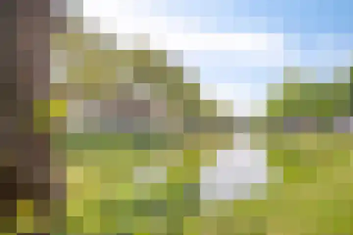 Penninghoeksingel 5 Middelburg thumbnail 35