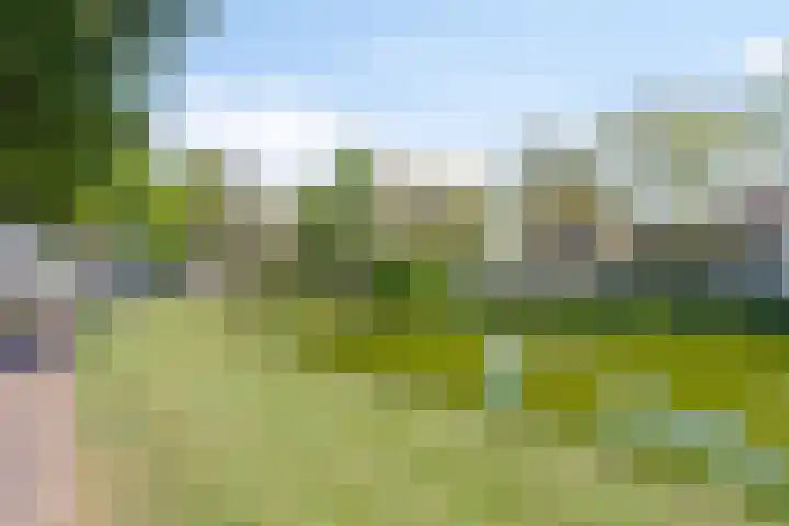 Penninghoeksingel 5 Middelburg thumbnail 38
