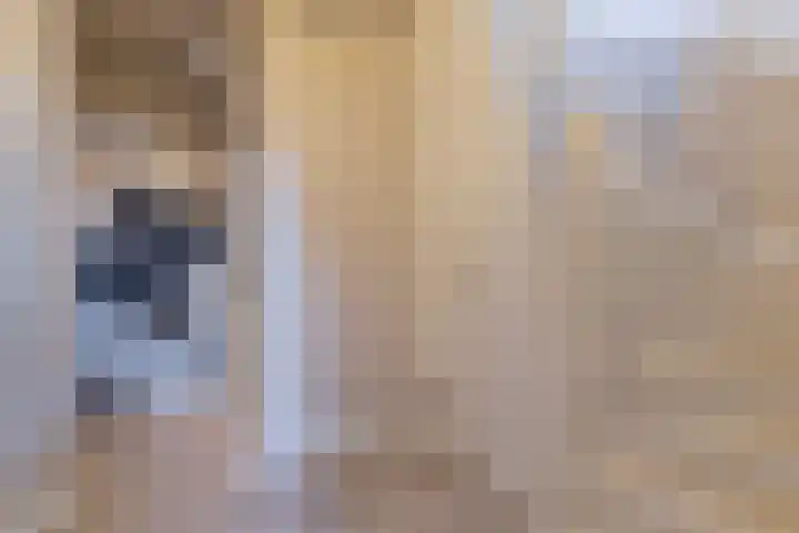 Penninghoeksingel 5 Middelburg thumbnail 5