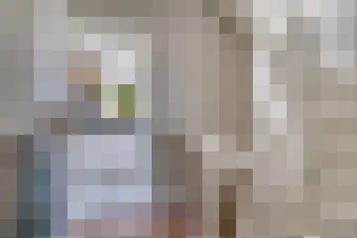 Penninghoeksingel 5 Middelburg thumbnail 9