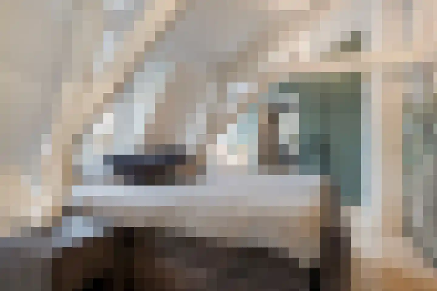 Penninghoeksingel 7 Middelburg thumbnail 26
