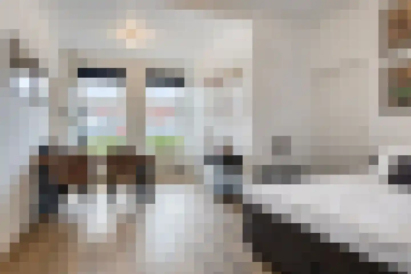 Penninghoeksingel 7 Middelburg thumbnail 35