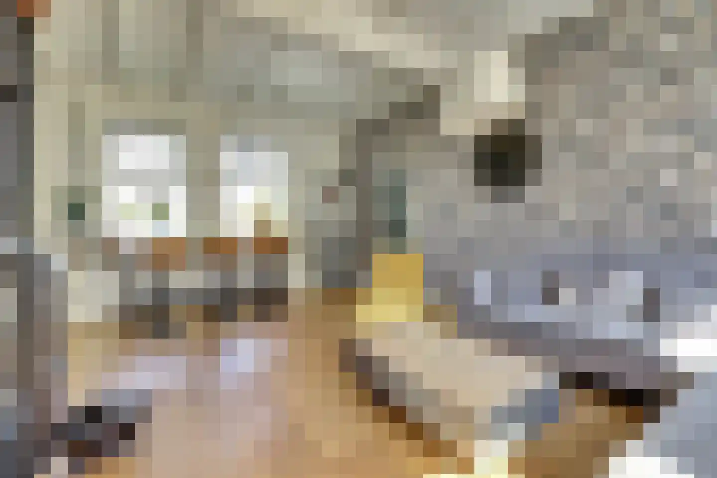 Penninghoeksingel 7 Middelburg thumbnail 6