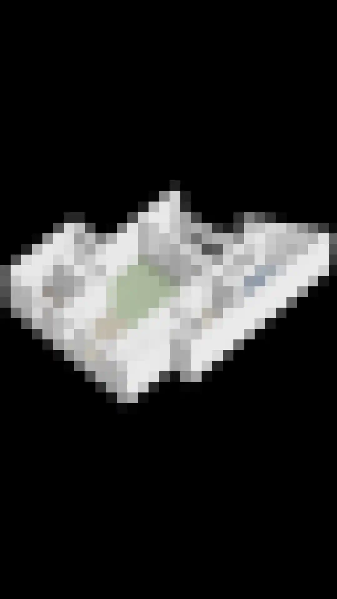 Penninghoeksingel 7 Middelburg thumbnail 60