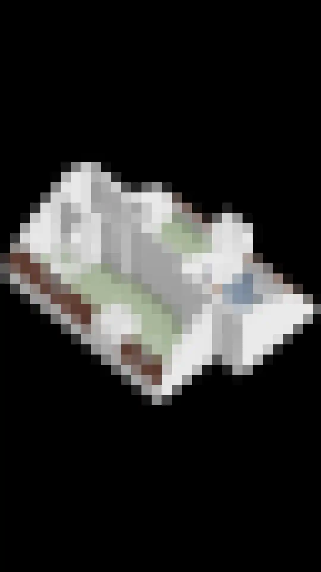 Penninghoeksingel 7 Middelburg thumbnail 64