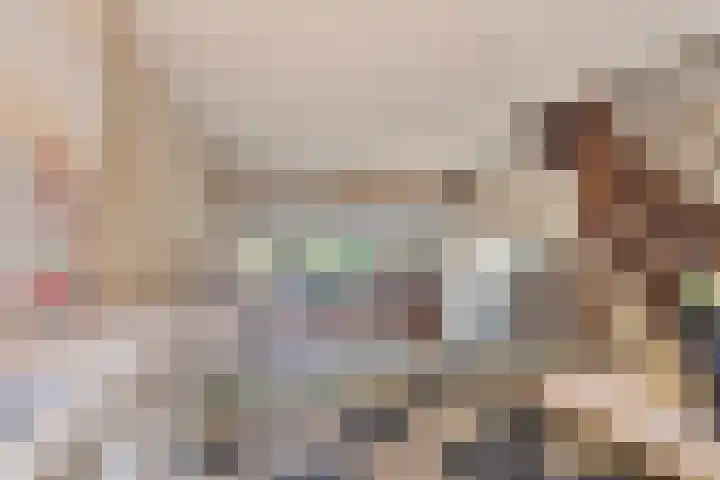 Penninghove 1 Zoetermeer thumbnail 15