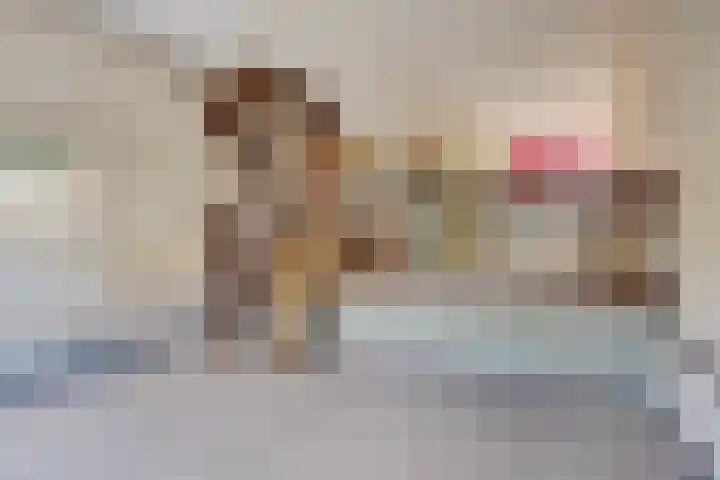 Penninghove 1 Zoetermeer thumbnail 18