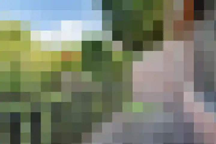 Penninghove 1 Zoetermeer thumbnail 22
