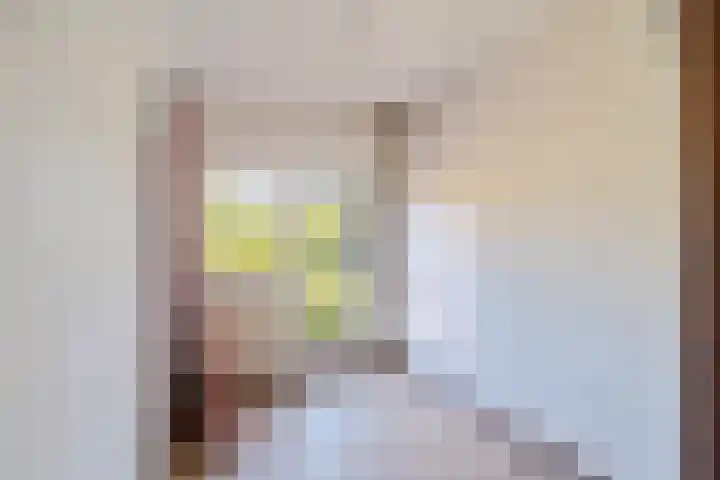 Penninghove 1 Zoetermeer thumbnail 25