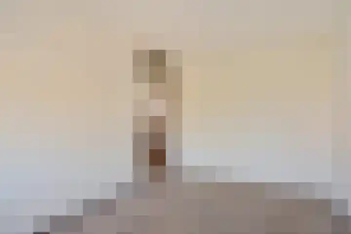 Penninghove 1 Zoetermeer thumbnail 29