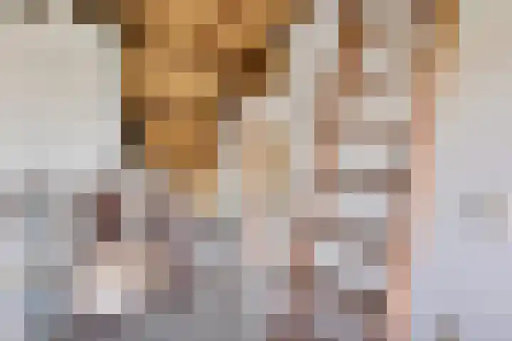 Penninghove 1 Zoetermeer thumbnail 37