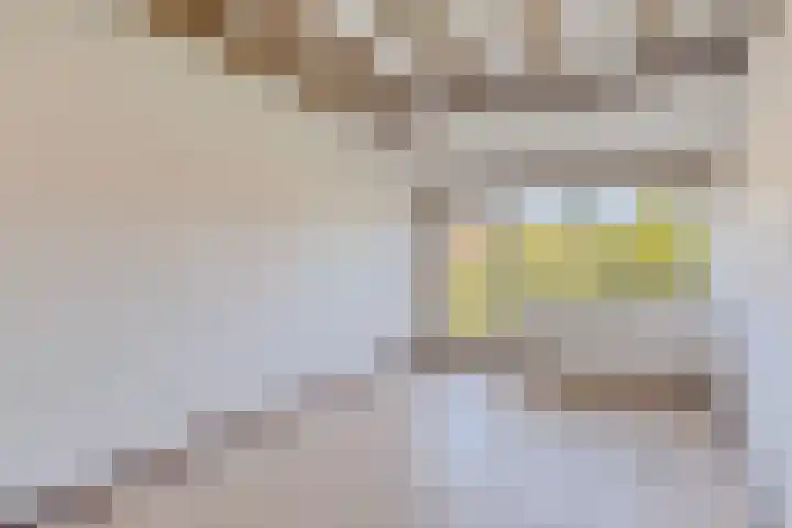 Penninghove 1 Zoetermeer thumbnail 40