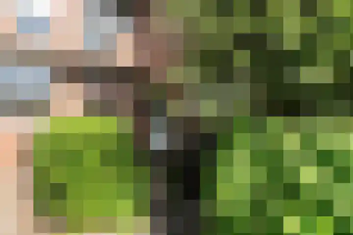 Penninghove 1 Zoetermeer thumbnail 5
