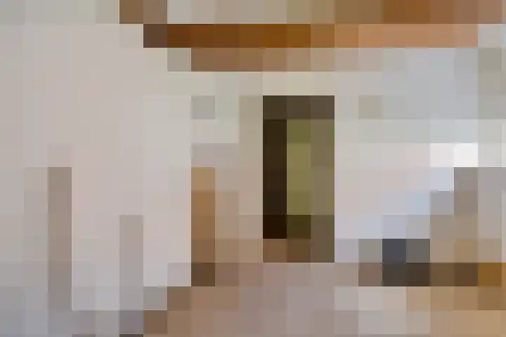 Penninghove 1 Zoetermeer thumbnail 8