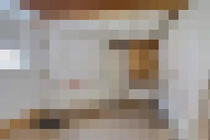 Penninghove 1 Zoetermeer thumbnail 9