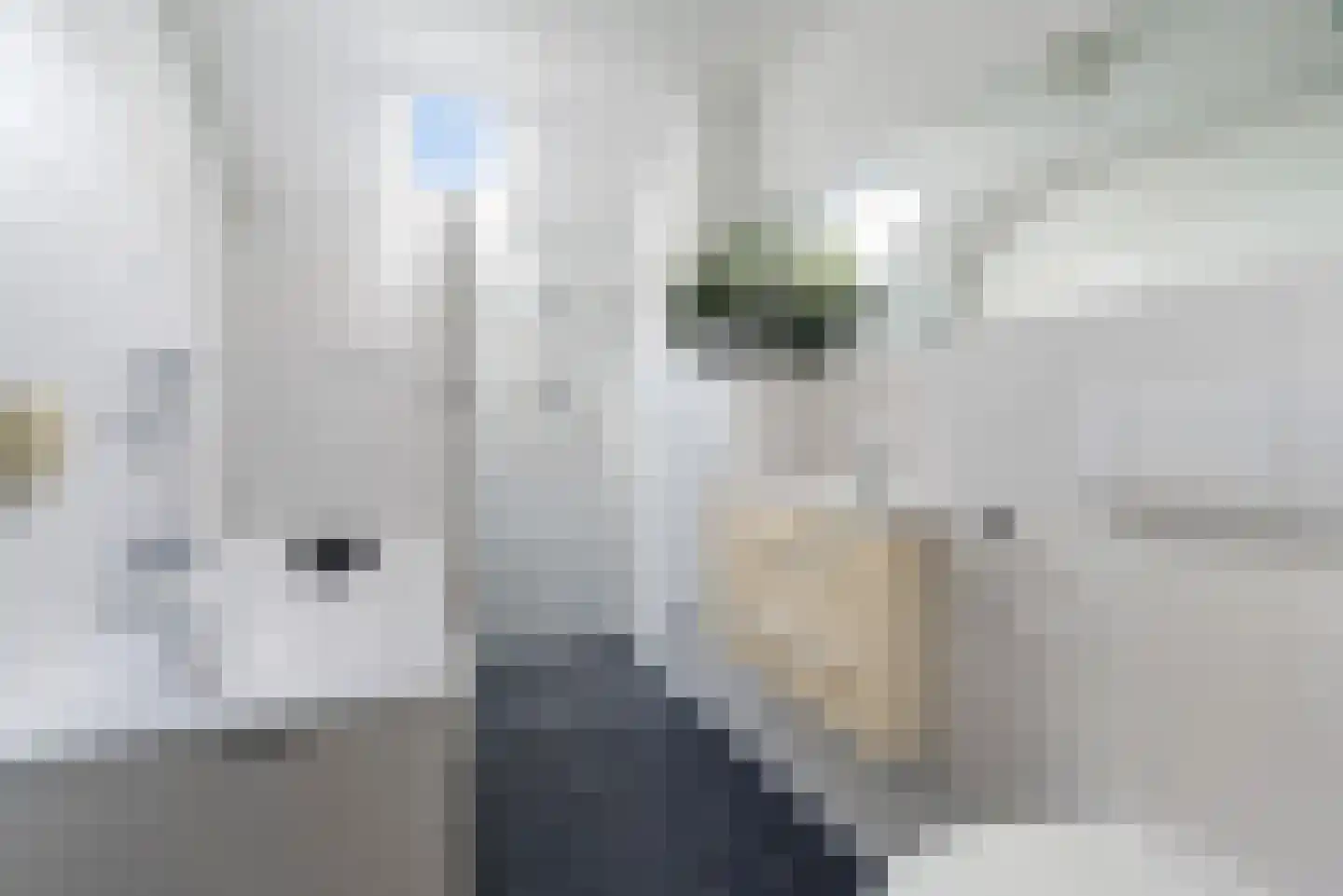 Penninghove 14 Zoetermeer thumbnail 36