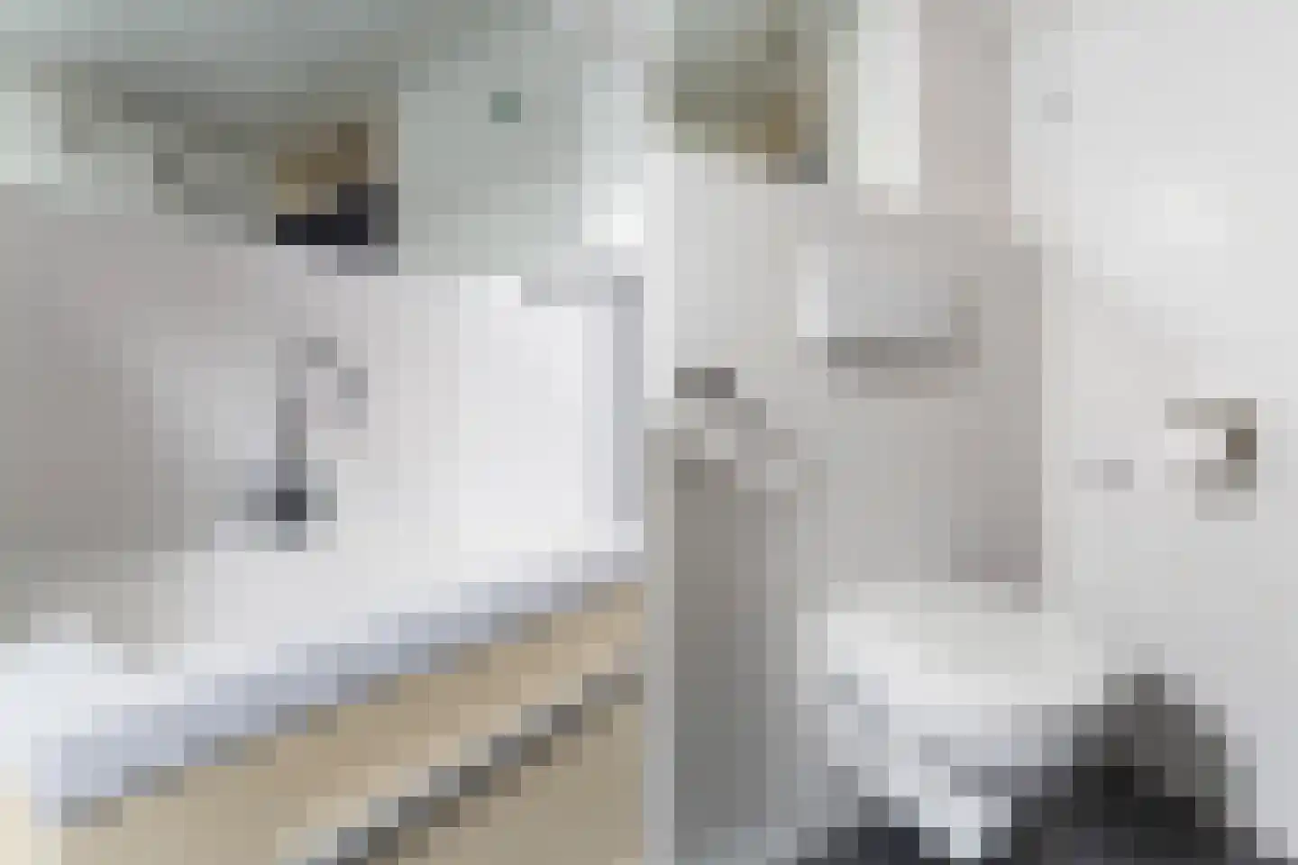 Penninghove 14 Zoetermeer thumbnail 38