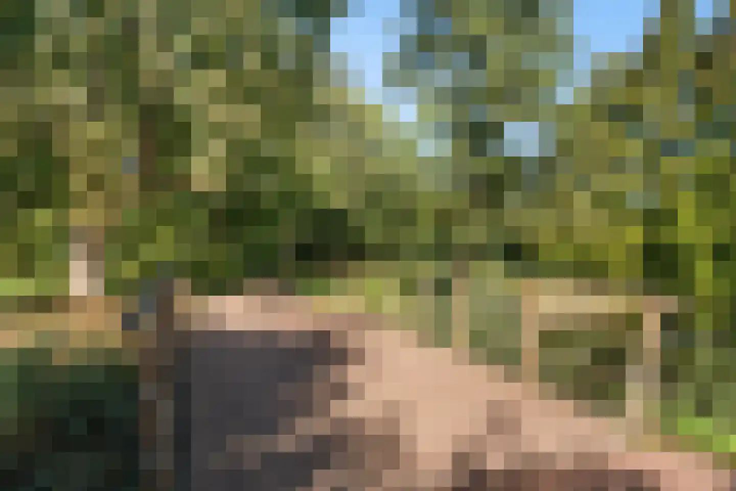 Penninghove 14 Zoetermeer thumbnail 51