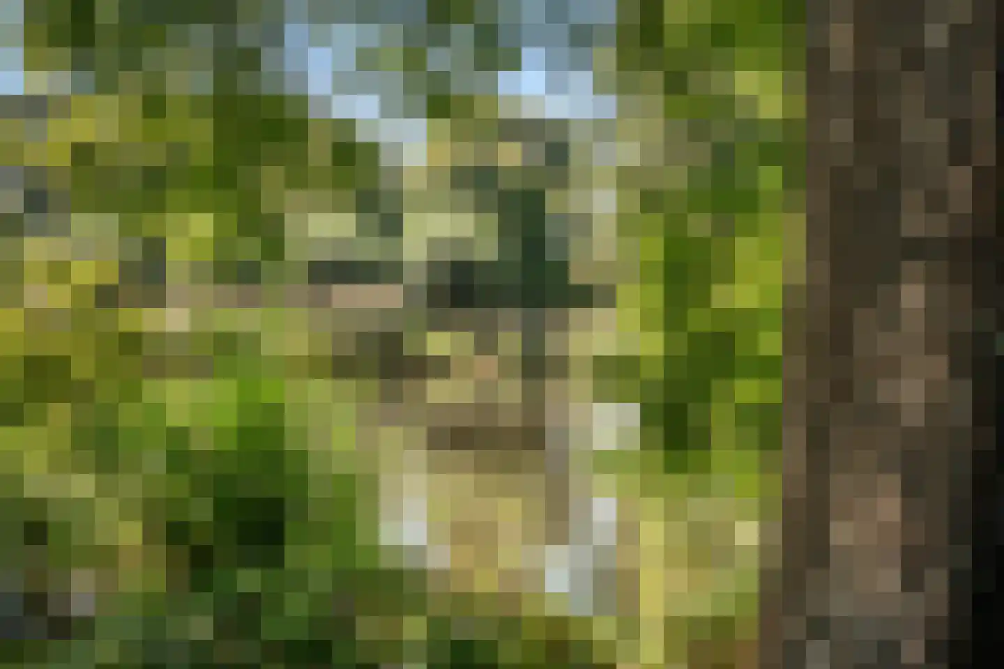 Penninghove 14 Zoetermeer thumbnail 53