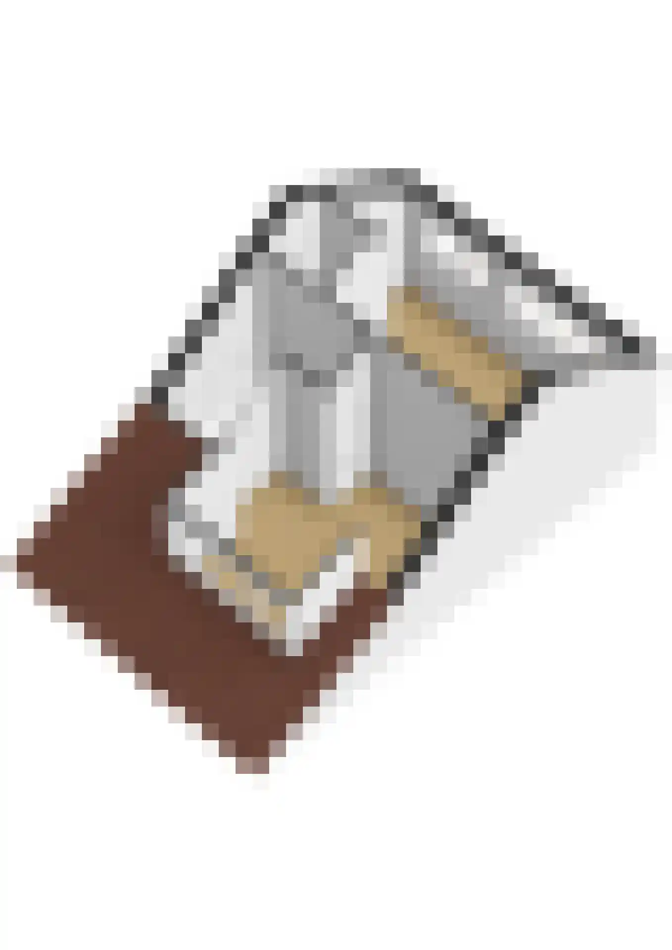 Penninghove 14 Zoetermeer thumbnail 60