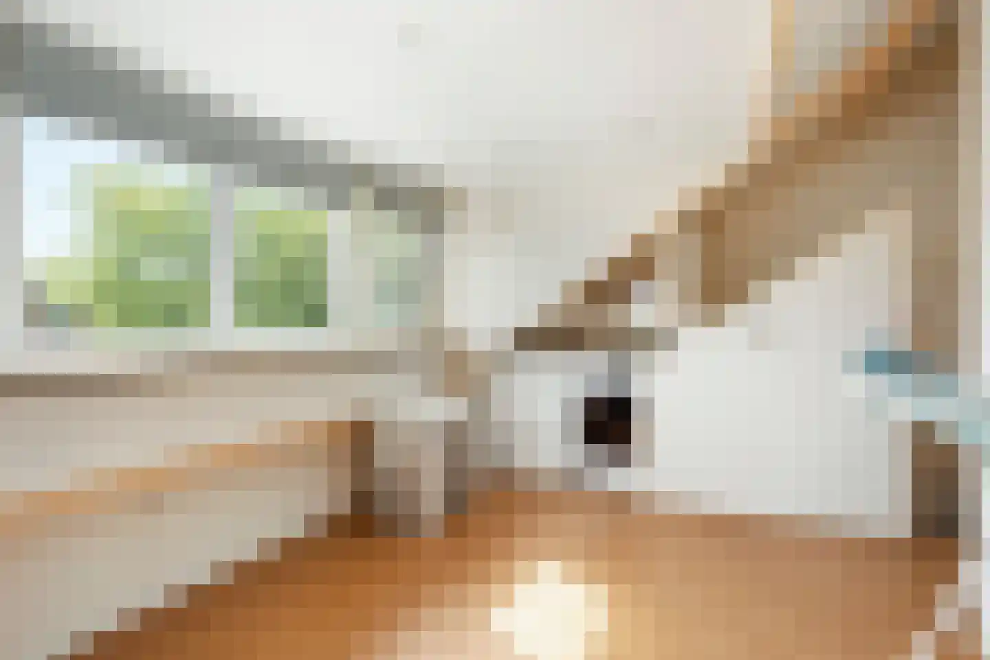 Penninghove 19 Zoetermeer thumbnail 31