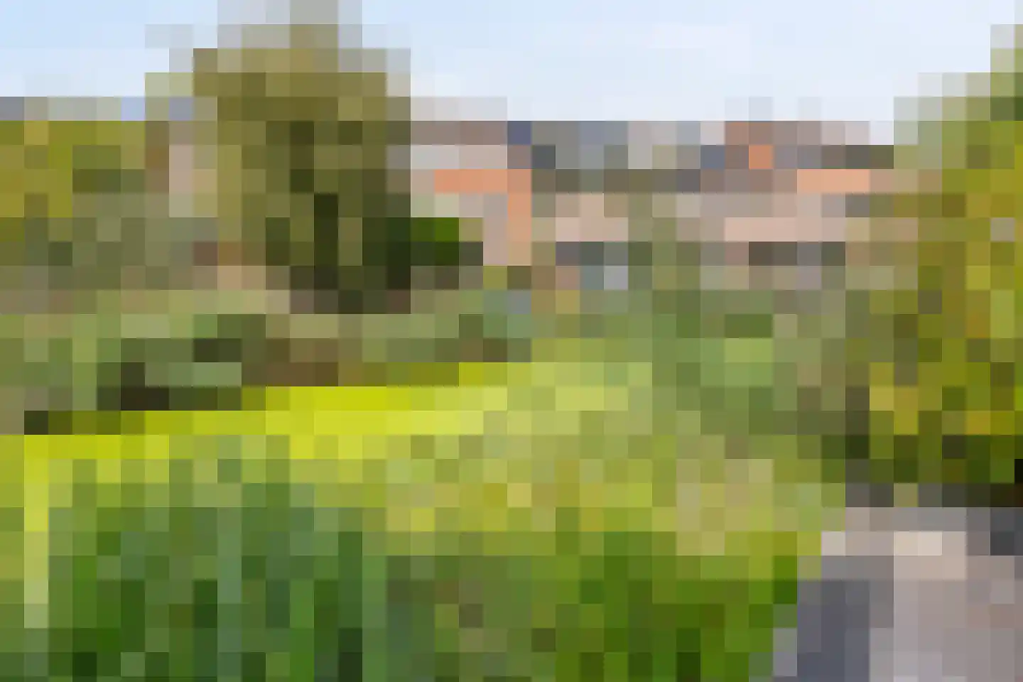 Penninghove 19 Zoetermeer thumbnail 42
