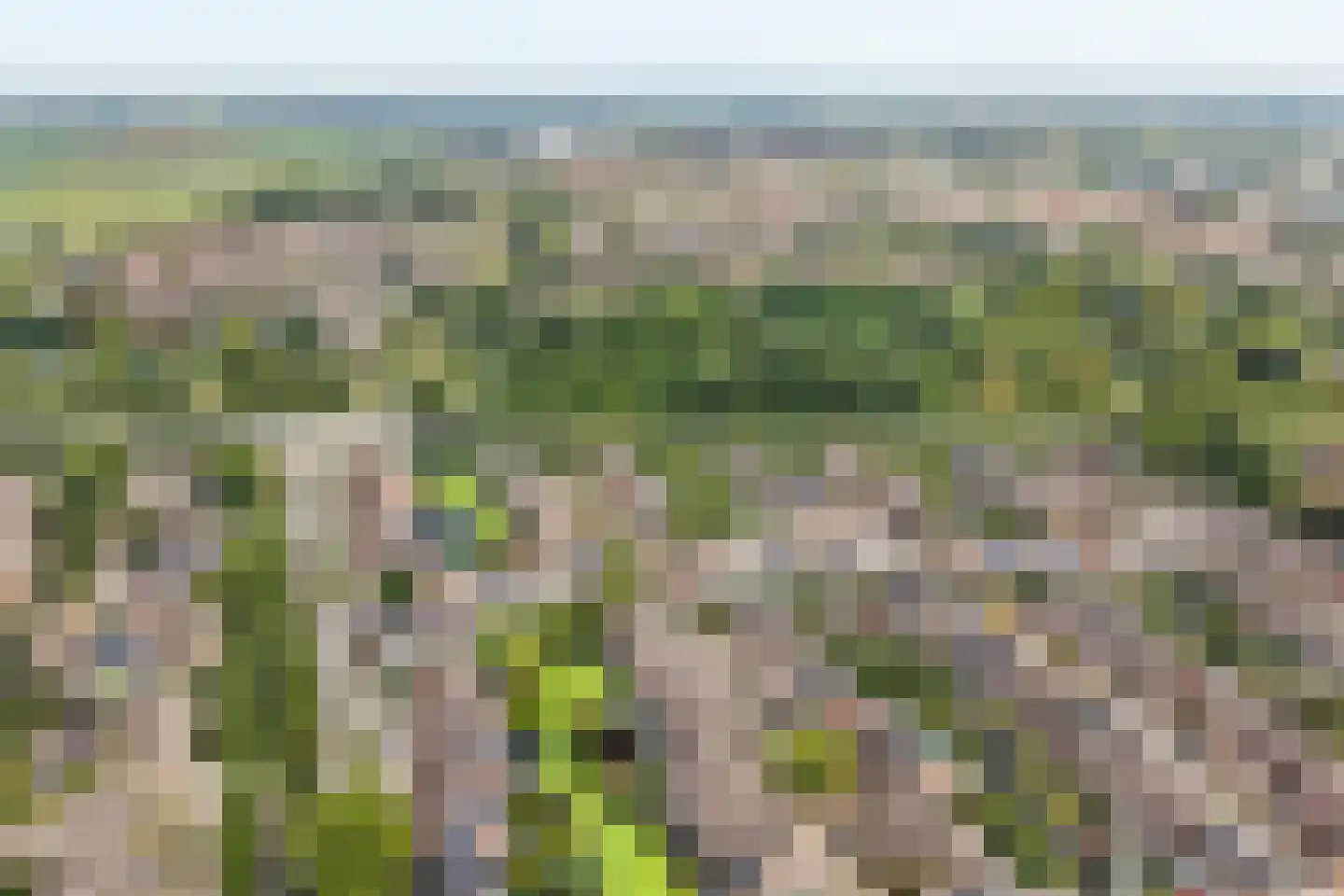 Penninghove 19 Zoetermeer thumbnail 53