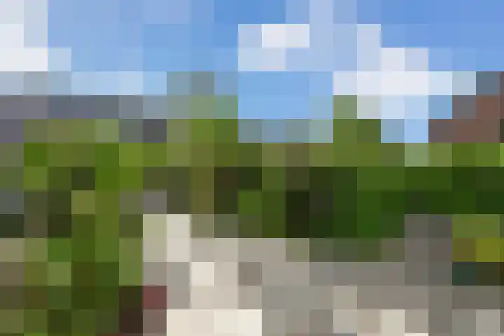 Penninghove 8 Zoetermeer thumbnail 13