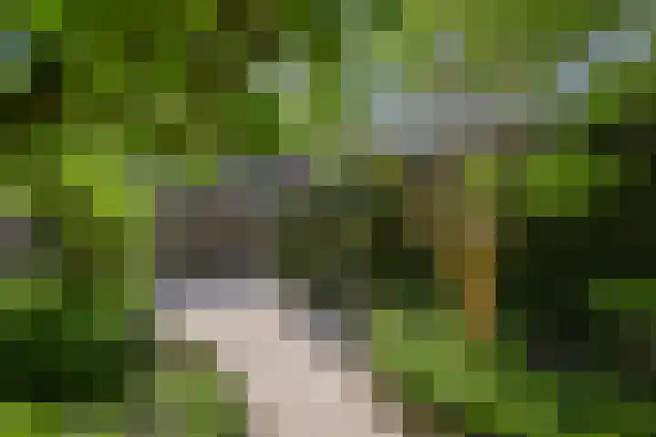 Penninghove 8 Zoetermeer thumbnail 14