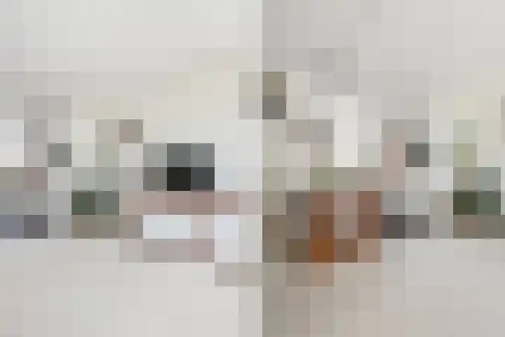 Penninghove 8 Zoetermeer thumbnail 17