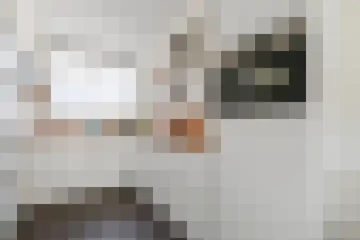 Penninghove 8 Zoetermeer thumbnail 20