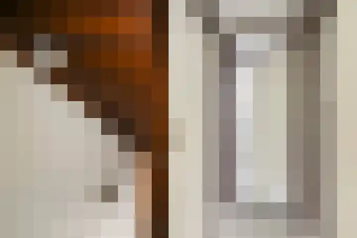 Penninghove 8 Zoetermeer thumbnail 26