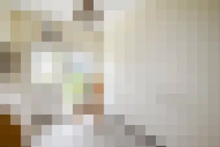 Penninghove 8 Zoetermeer thumbnail 30