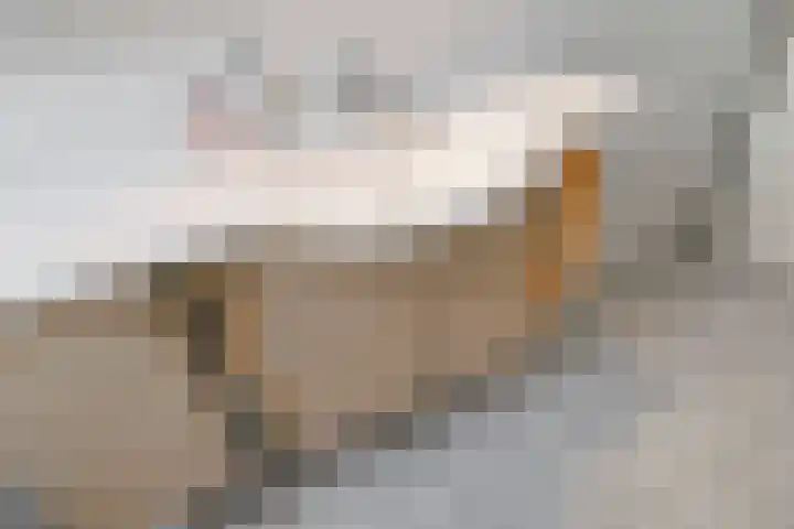 Penninghove 8 Zoetermeer thumbnail 31