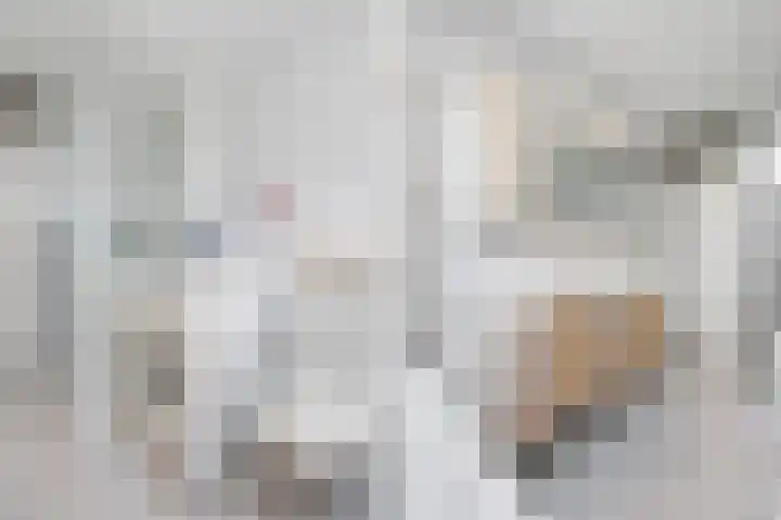 Penninghove 8 Zoetermeer thumbnail 33