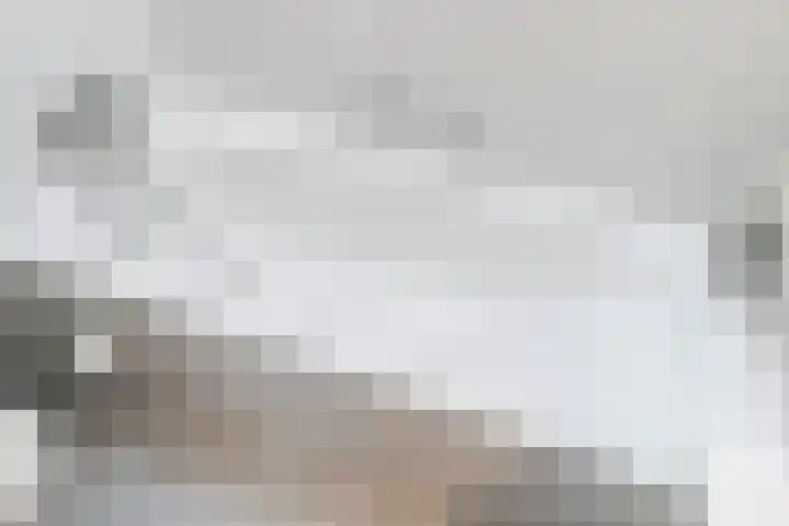 Penninghove 8 Zoetermeer thumbnail 35