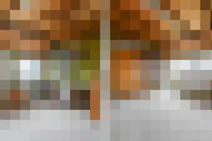 Penninghove 8 Zoetermeer thumbnail 38