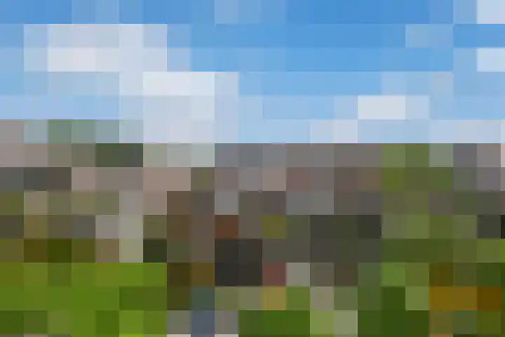 Penninghove 8 Zoetermeer thumbnail 40