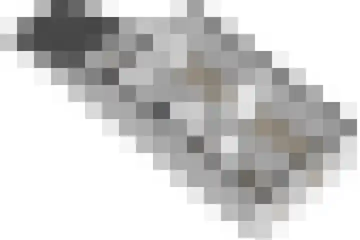 Penninghove 8 Zoetermeer thumbnail 43