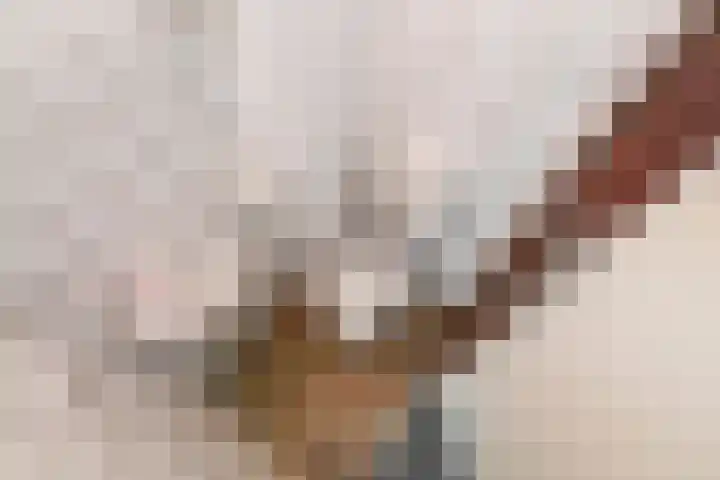 Penninghove 8 Zoetermeer thumbnail 6