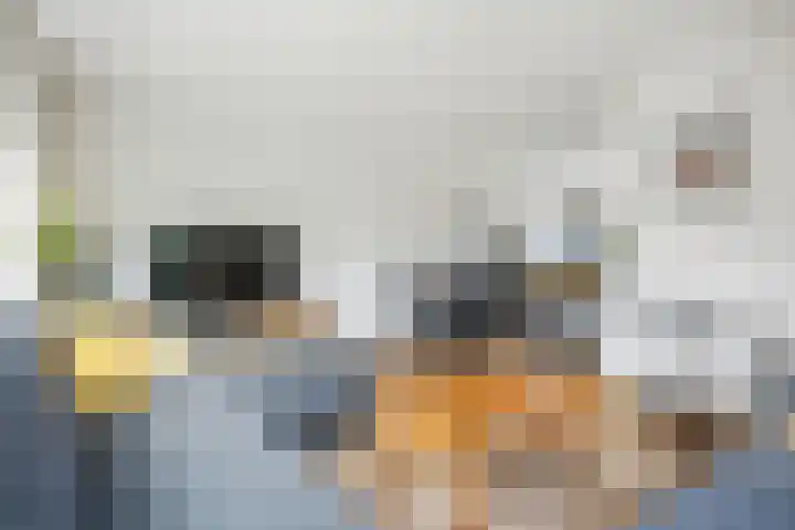 Penningkruid 1 Meerstad thumbnail 10