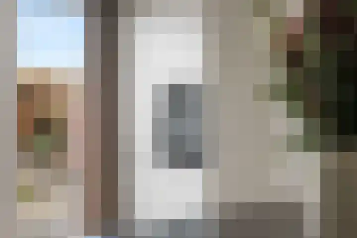 Penningkruid 1 Meerstad thumbnail 12