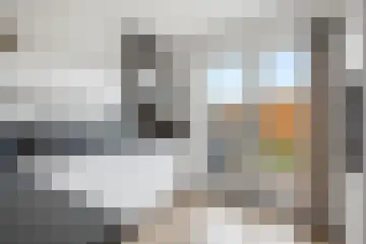 Penningkruid 1 Meerstad thumbnail 13