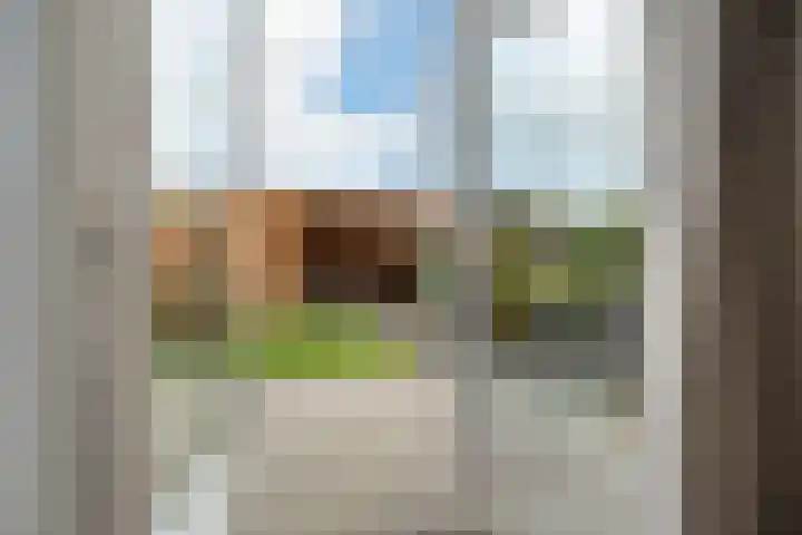 Penningkruid 1 Meerstad thumbnail 14