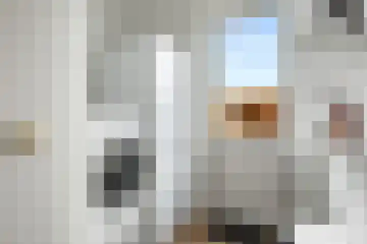 Penningkruid 1 Meerstad thumbnail 16