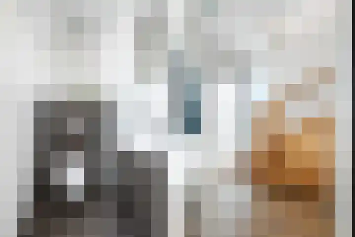 Penningkruid 1 Meerstad thumbnail 17