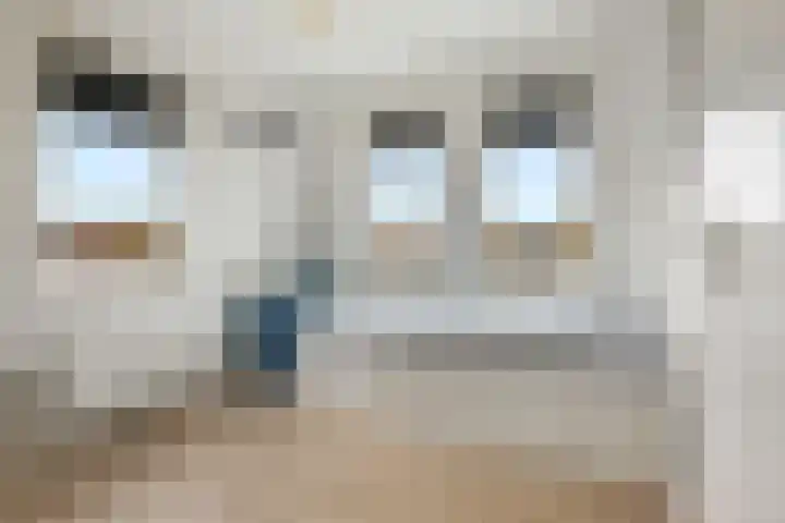 Penningkruid 1 Meerstad thumbnail 21