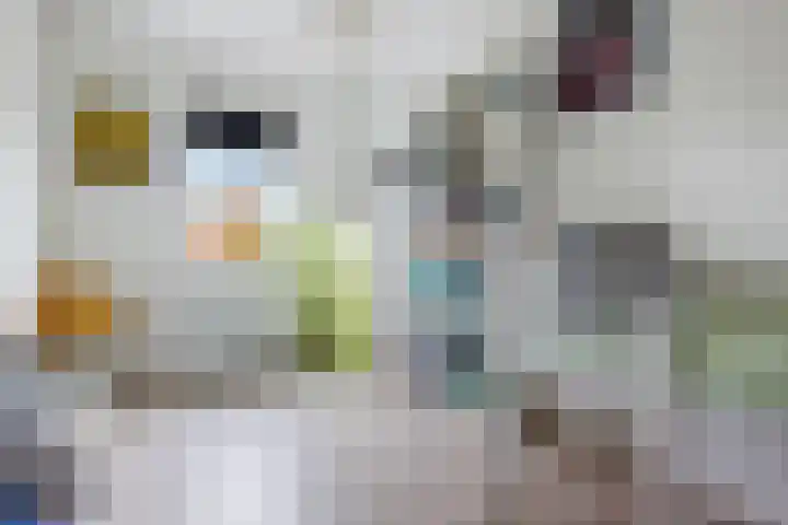 Penningkruid 1 Meerstad thumbnail 23