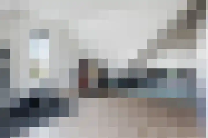 Penningkruid 1 Meerstad thumbnail 31
